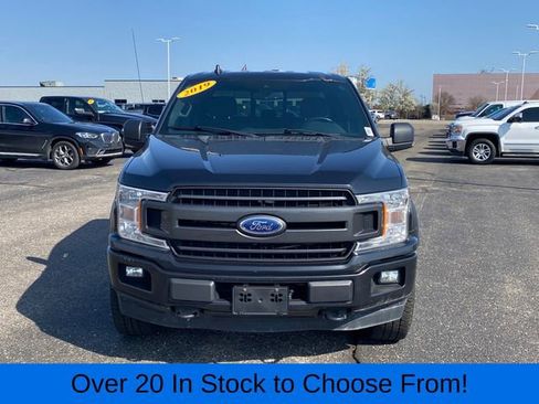 Used 2019 Ford F150 XLT w/ Equipment Group 302A Luxury AWD/4WD image 2