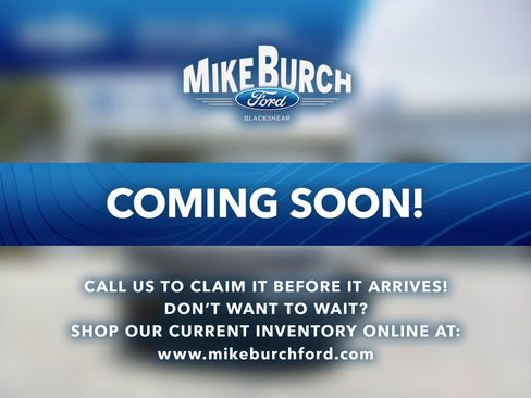 Used 2020 Ford Mustang GT w/ Equipment Group 301A image 1