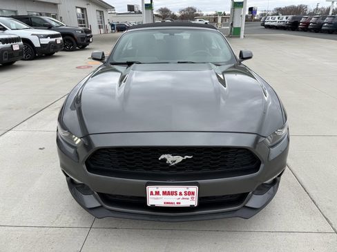 Used 2017 Ford Mustang Premium image 5