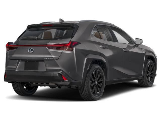Used 2025 Lexus UX 300h AWD w/ Cold Area Package image 2
