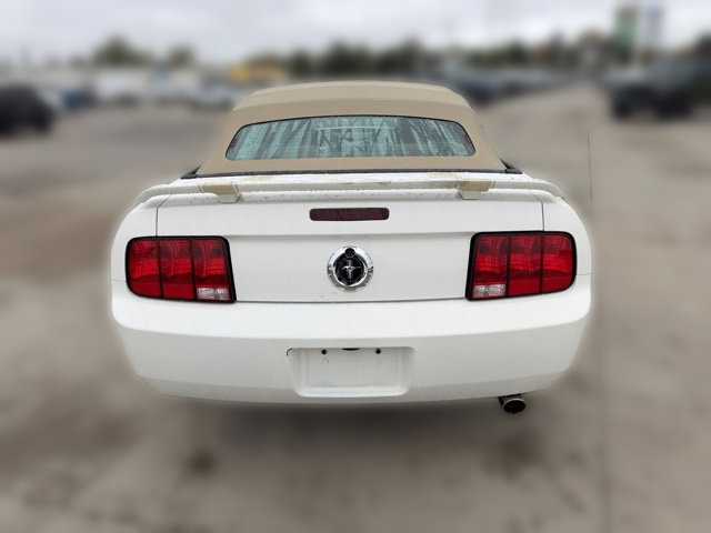 Used 2006 Ford Mustang Convertible RWD image 6