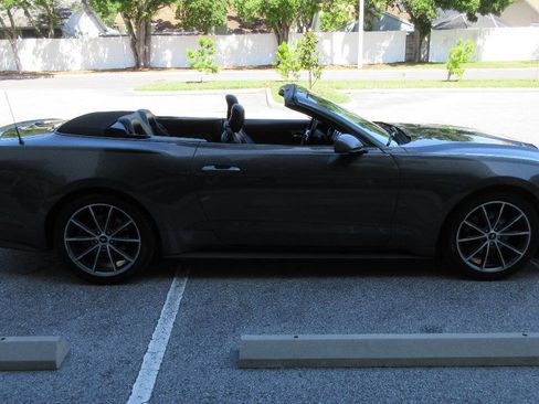 Used 2019 Ford Mustang Premium w/ Equipment Group 201A image 6