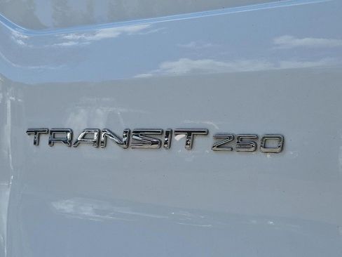 Used 2019 Ford Transit 250 130 Low Roof RWD image 29