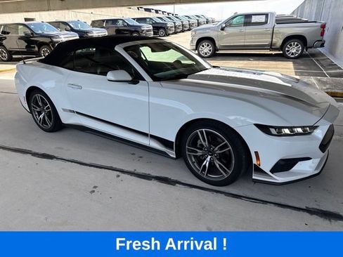 Used 2024 Ford Mustang Premium w/ Wheel & Stripe Package RWD image 13