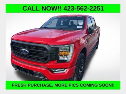 Used 2023 Ford F150 XLT w/ Equipment Group 302A High