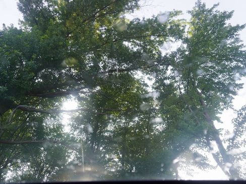 Used 2024 Hyundai Tucson Limited image 37