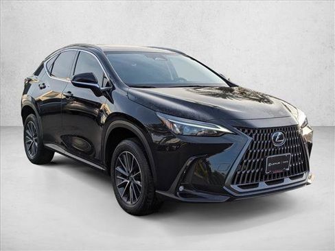 Used 2025 Lexus NX 350h AWD w/ Premium Package image 3