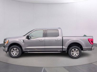 Used 2023 Ford F150 XLT w/ Equipment Group 302A High