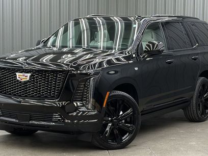 Used 2026 Cadillac Escalade Platinum Sport