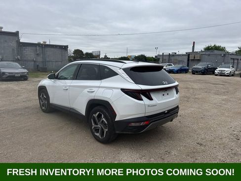Used 2024 Hyundai Tucson Limited FWD image 4