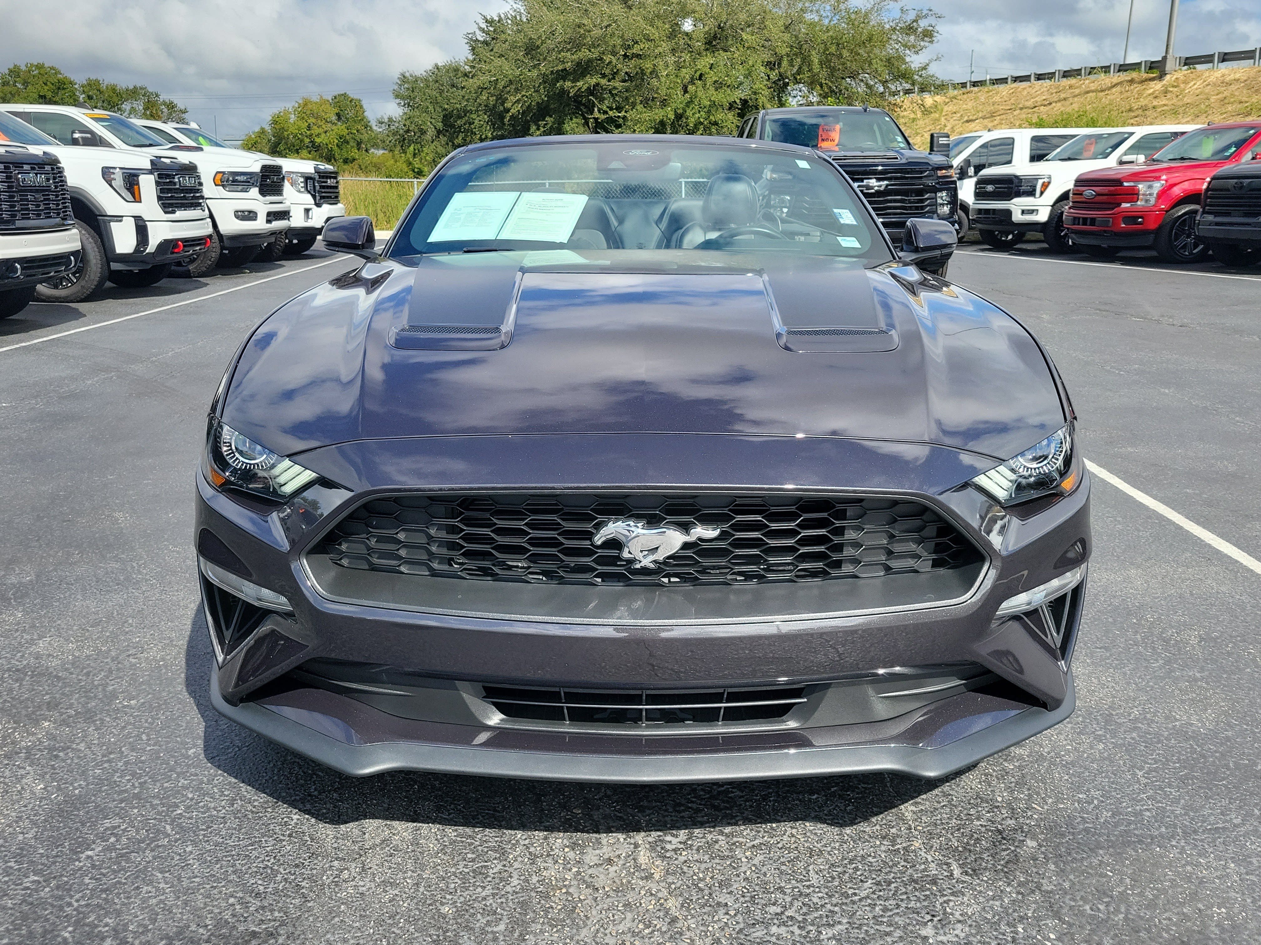 Certified 2023 Ford Mustang Premium w/ Equipment Group 201A RWD image 23