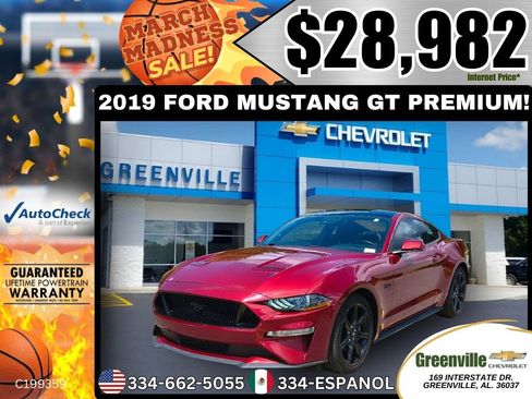 Used 2019 Ford Mustang GT Premium w/ Equipment Group 401A image 1