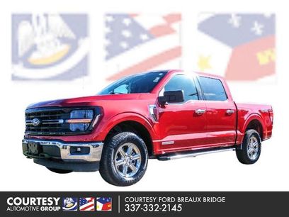 Certified 2025 Ford F150 XLT w/ Equipment Group 301A Standard