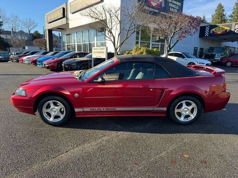 Used 2004 Ford Mustang Deluxe image 2