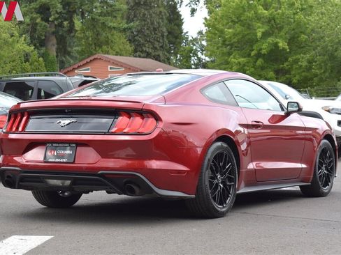 Used 2019 Ford Mustang Coupe w/ Equipment Group 101A image 5