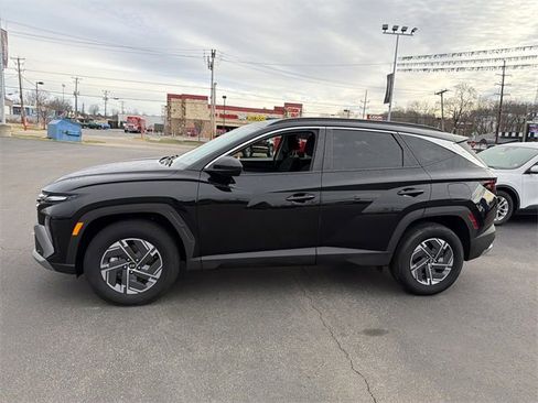 Used 2025 Hyundai Tucson Blue image 8