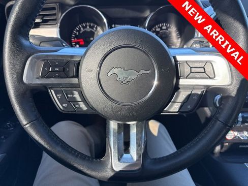 Used 2017 Ford Mustang GT Premium w/ Equipment Group 401A image 13