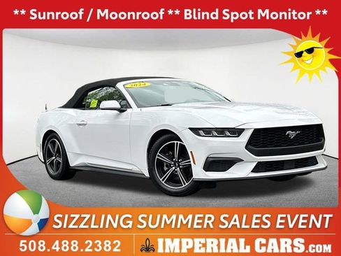 Used 2024 Ford Mustang Premium RWD image 1