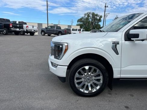 Used 2021 Ford F150 Limited AWD/4WD image 5