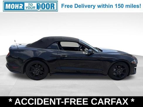 Used 2019 Ford Mustang GT Premium w/ Equipment Group 401A RWD image 7