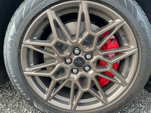 New 2025 Ford Mustang Mach-E GT w/ Bronze Appearance Package AWD/4WD image 6