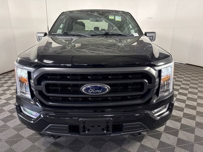 Used 2023 Ford F150 XLT w/ Equipment Group 302A High