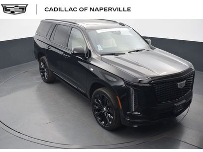Used 2026 Cadillac Escalade Platinum Sport w/ LPO, ONYX Package