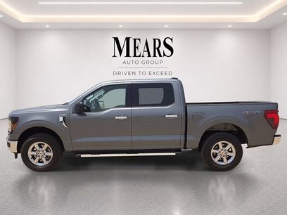 Used 2025 Ford F150 XLT w/ Equipment Group 301A Standard