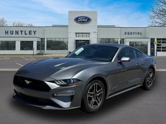 Used 2021 Ford Mustang Premium RWD video 1