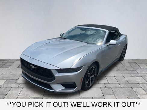 Used 2025 Ford Mustang Premium RWD image 3