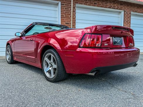 Used 2004 Ford Mustang Cobra RWD image 22