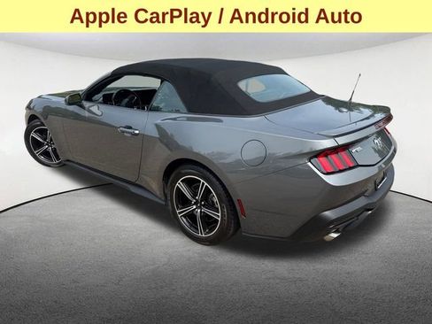 Used 2024 Ford Mustang Premium image 8