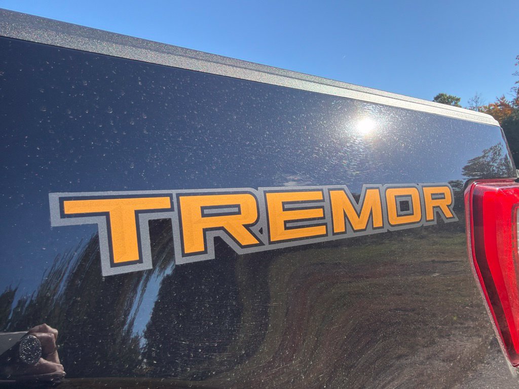 Used 2021 Ford F150 Tremor w/ Equipment Group 402A High AWD/4WD image 9