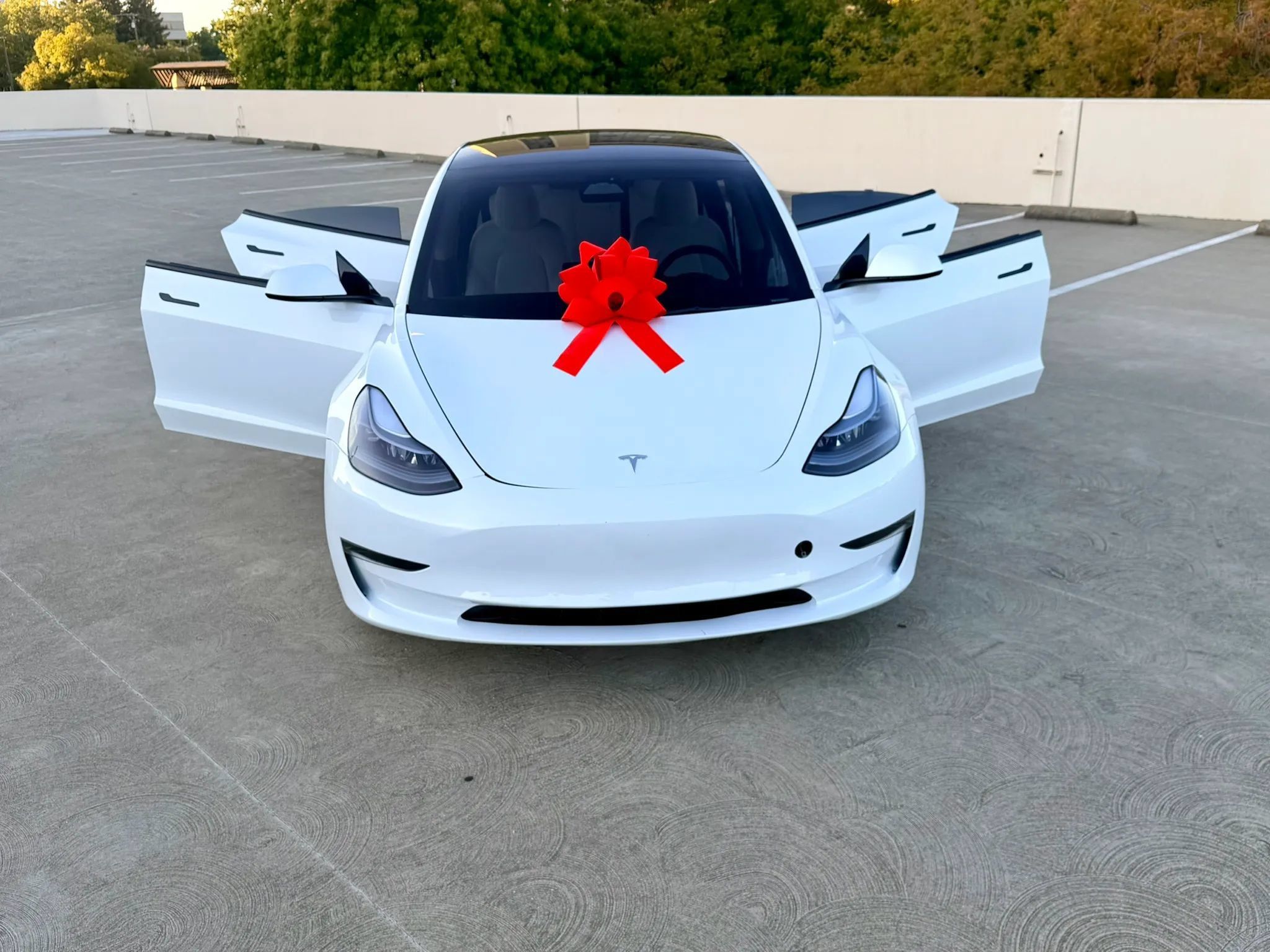 Used 2023 Tesla Model 3 Standard Range RWD image 38