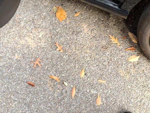 Used 2025 Mercedes-Benz C 300 Sedan image 10