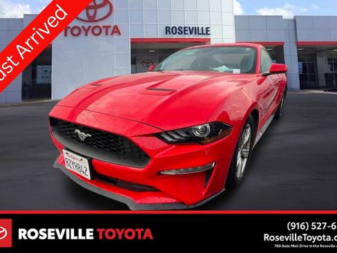 Used 2021 Ford Mustang EcoBoost image 1