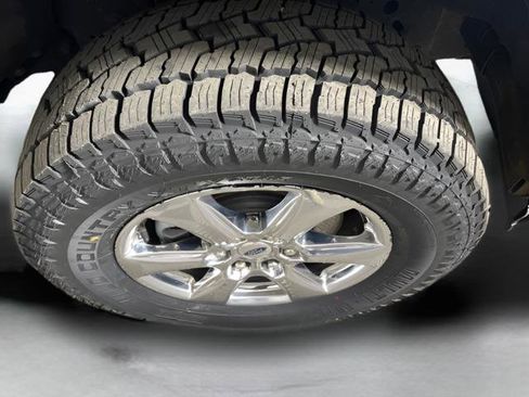 Used 2019 Ford F150 XLT w/ Equipment Group 302A Luxury image 14