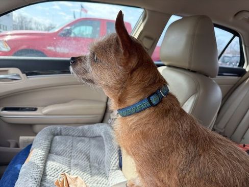 Used 2014 Chrysler 300 image 15