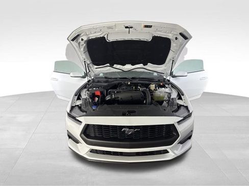 Used 2026 Ford Mustang Coupe RWD image 12