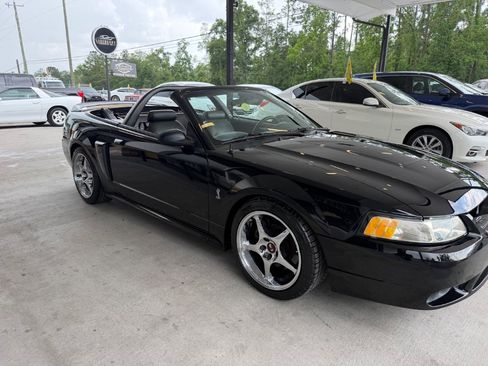 Used 1999 Ford Mustang Cobra RWD image 3