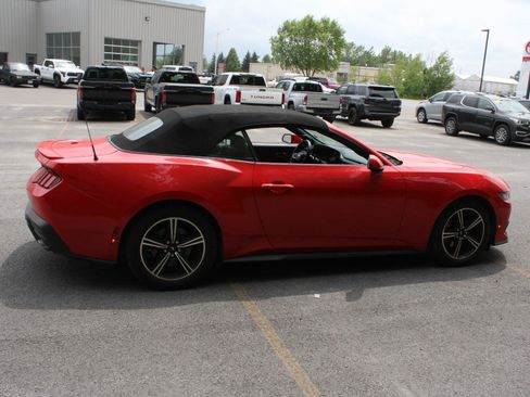 Used 2024 Ford Mustang Premium RWD image 4