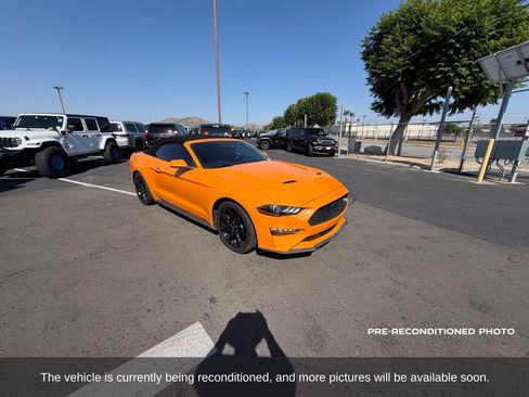 Used 2019 Ford Mustang Convertible w/ Equipment Group 101A RWD image 8