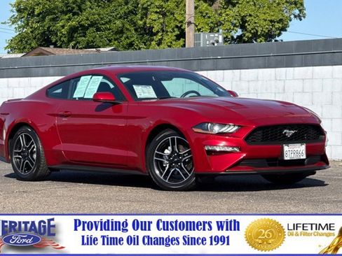Used 2020 Ford Mustang Coupe w/ Equipment Group 101A RWD image 2