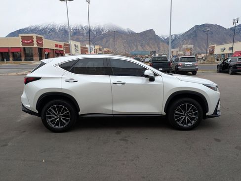 Used 2025 Lexus NX 350h AWD w/ Premium Package image 2