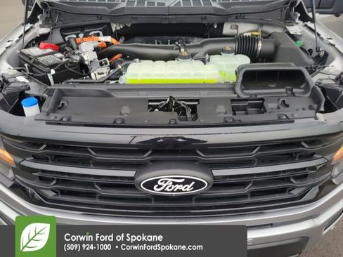 New 2025 Ford F150 XLT w/ Equipment Group 302A MID image 37