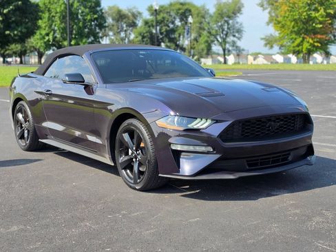 Used 2022 Ford Mustang Premium w/ Equipment Group 201A RWD image 3