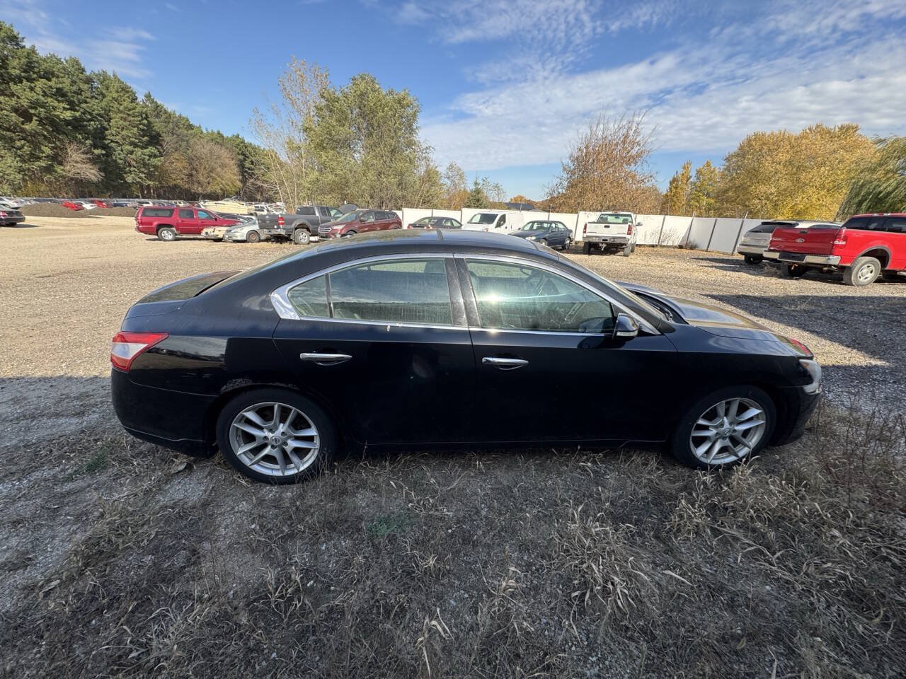 Used 2011 Nissan Maxima 3.5 SV w/ Premium Pkg FWD image 6