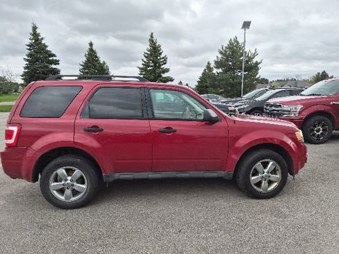 Used 2011 Ford Escape XLT w/ Canadian Winter Pkg AWD/4WD image 4