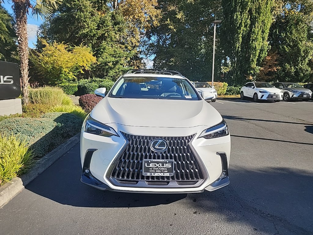 Certified 2025 Lexus NX 350h AWD w/ Cold Area Package image 7