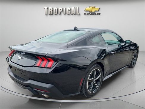 Used 2024 Ford Mustang EcoBoost image 5